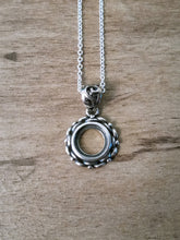 Load image into Gallery viewer, Aster